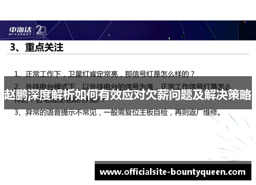 赵鹏深度解析如何有效应对欠薪问题及解决策略