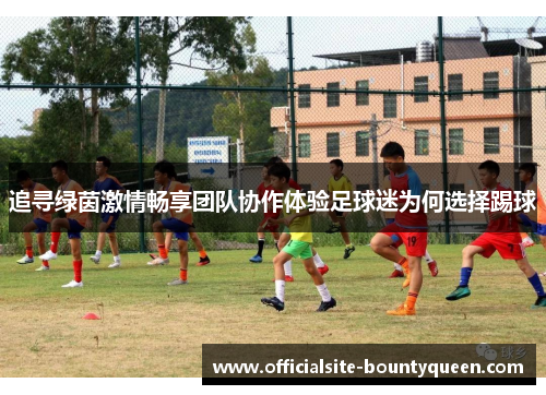 追寻绿茵激情畅享团队协作体验足球迷为何选择踢球