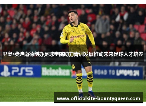 里奥·费迪南德创办足球学院助力青训发展推动未来足球人才培养