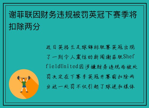 谢菲联因财务违规被罚英冠下赛季将扣除两分