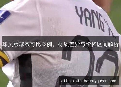 球员版球衣可比案例，材质差异与价格区间解析